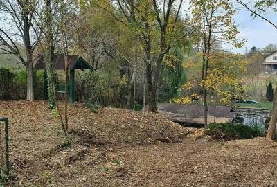 Teren cu Casa BONUS deschidere la Lacul Snagov - 3