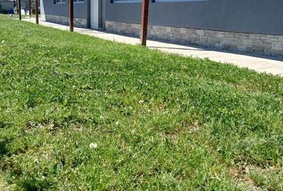 Casă cu 2 camere în Gepiu - 7