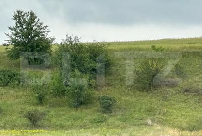 Teren de 5200 mp, în Central