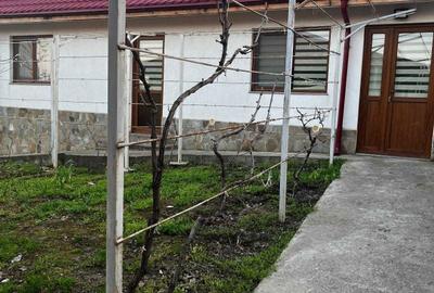 Casă cu 3 camere în Mihail Kogălniceanu - 4