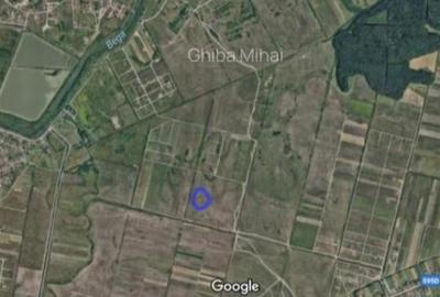 Teren intravilan de 752 mp, în Moșnița Nouă - 2