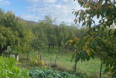 Casă cu 3 camere în Coca-Antimirești - 8