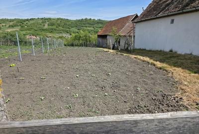 Casă cu 3 camere cu Teren 417 Mp în Central - 4