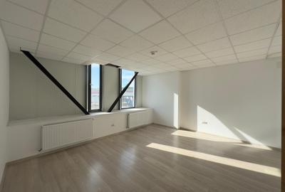 Hala, showroom de inchiriat, 1156mp, Parc Miroslava - 8