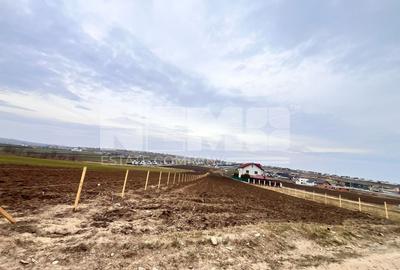 Teren agricol intravilan de 4800 mp, în Moara Nica - 1