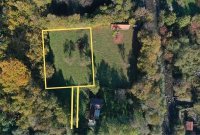 Teren intravilan | 1300 mp | de vanzare- Valea Avrigului - 4