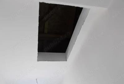 Duplex, Mosnita Noua, Albina, pe parter, 3 cam, 250 mp teren - 8