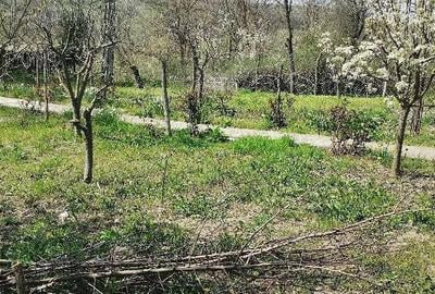 Casă în Racovițeni - 4
