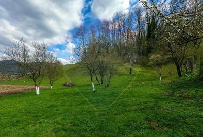 Teren partial intravilan 2,984mp Baru ,jud.Hunedoara - 5