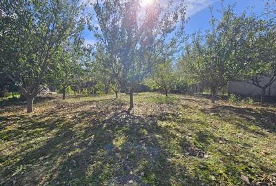 Vanzare teren *intravilan 308 mp cu utilita?i* - Sat Ceauru, Comuna Bale?ti - 4