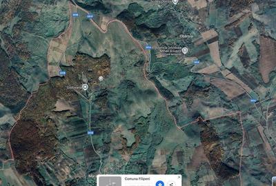 Teren Filipeni, Padure, ID: R2388724 - 7