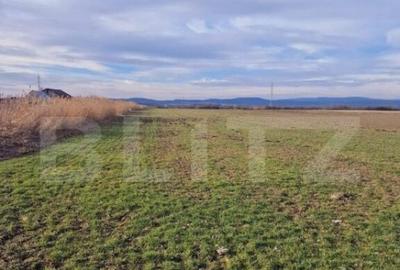 Teren de 8700 mp, în Central