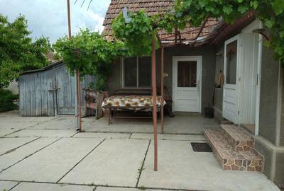 Casa cu 3 camere in Ineu - 1