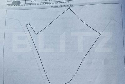 Spațiu comercial, în Beliș