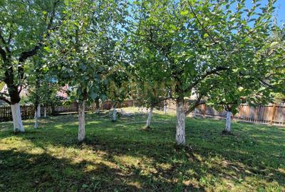 Casă individuală cu 6 camere cu Canalizare în Provița de Jos - 17