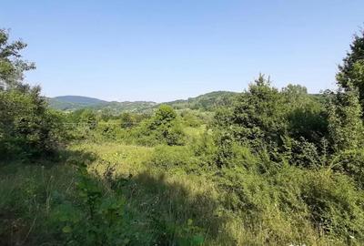 Teren de 3700 mp, în Vâlcănești - 5
