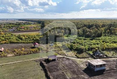 Refugiu la marginea padurii 1000 mp de liniste in Cocani. - 3
