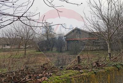 Vanzare Casa-Conac boieresc stil Baroc cu teren in Stoenesti, jud Olt - 13