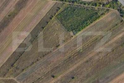 Teren de 24712 mp, în Central - 5