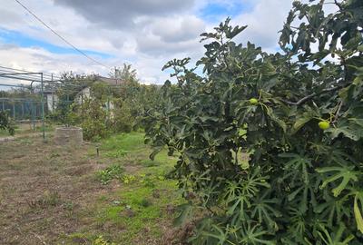 Casă individuală cu 4 camere cu Canalizare în Vadu - 11