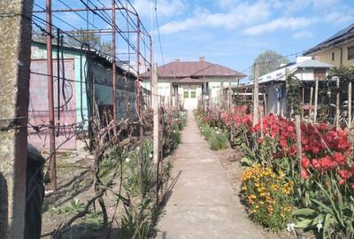 Casă cu 5 camere cu Canalizare în Central - 2
