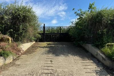 Teren la stradă 1200 m2 - 1