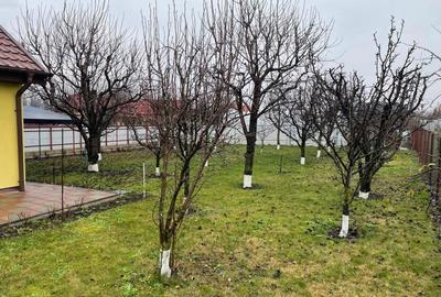 Casă individuală cu 2 camere cu Teren 800 Mp în Central - 1