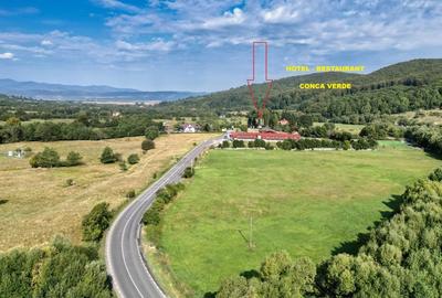 Cheile Rasnoavei DN73A, teren extravilan 3.000 mp, zona de vis, ideal investitie - 2