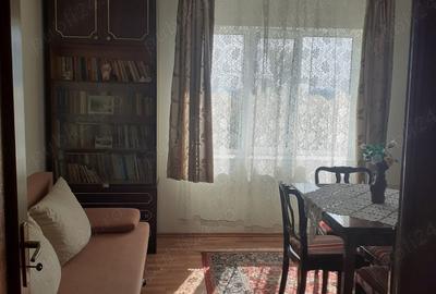 Vand casa in localitatea Sabisa - 9