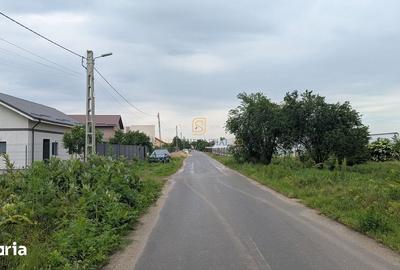 Teren de 705 mp, în Chitila - 3