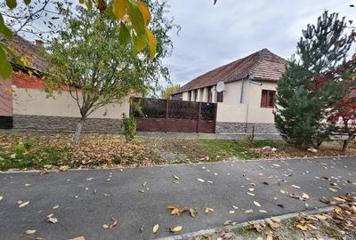 Casă cu 3 camere cu Teren 1783 Mp în Voiteg - 5