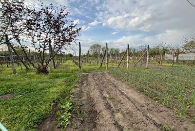 Casă individuală cu 3 camere cu Canalizare în Rogova - 3