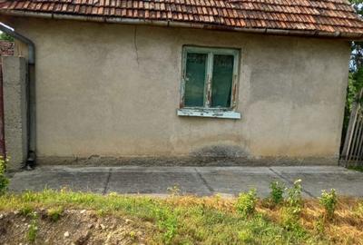 Casă cu 2 camere în Iratoșu - 1
