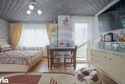 Casa de vanzare S+P+E+M - 1