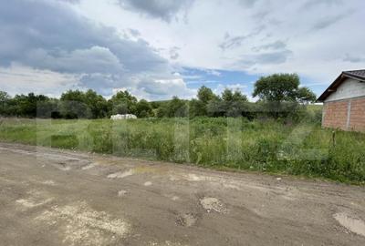 Teren intravilan in satul Sigmir, 700 Mp - 5