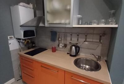 Garsoniera moderna, c-tie noua, vedere spre gradina Mitropoliei - 17