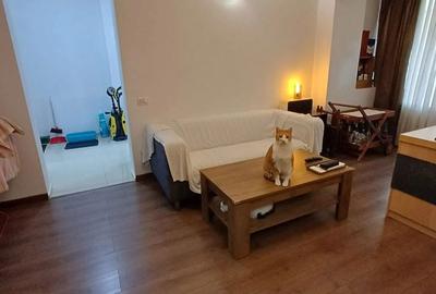 Apartament cu 2 camere semidecomandat în Istria - 3