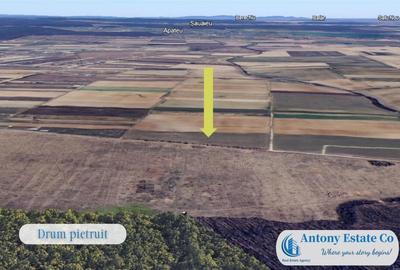 Oportunitate de investitie - Teren Cihei, langa Padurea Nojo - 10