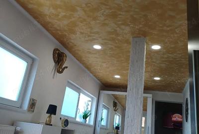 Casă cu Teren 1016 Mp în Petrovaselo - 2