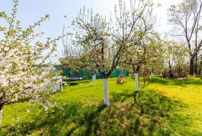 Casă individuală cu 5 camere cu Teren 1000 Mp în Belciugatele - 37