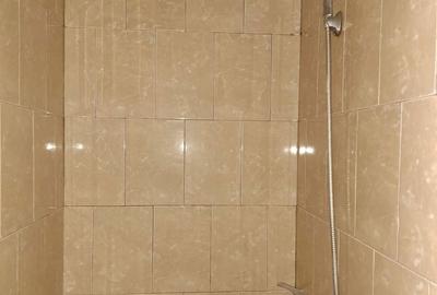 Garsonieră în Central - 9