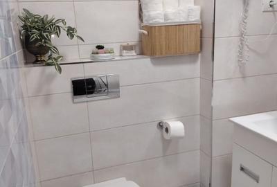 Garsonieră decomandată, mobilată în Central - 9