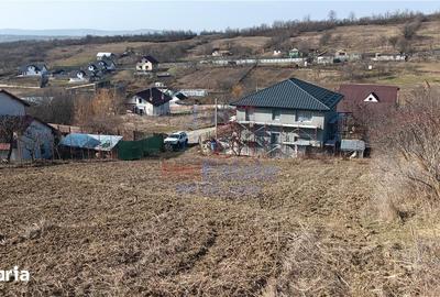 Teren de 3000 mp, în Bârnova - 2