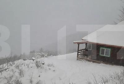 Casă cu 3 camere cu Teren 1000 Mp în Șugag - 3