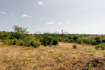 RECO Teren intravilan 1200 mp- front 30ml ,cu utilitati, Pa - 2