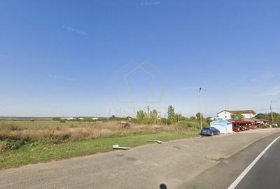 COMISION 0% Teren extravilan agricol 1 ha | Recas - 1