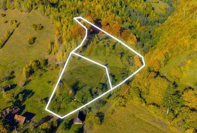 COMISION 0% Teren 11,381 mp Moieciu de Jos / Oportunitate... - 5