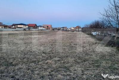 Teren în Torontalului