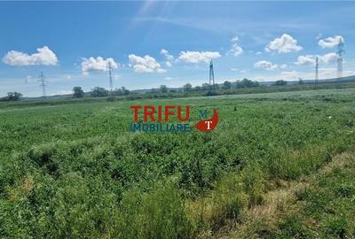Teren de 5000 mp, în Central - 5
