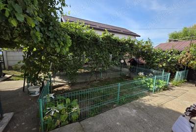 Casa 127 mp + teren 1800 mp, foisor si iaz - Dragasani - 9